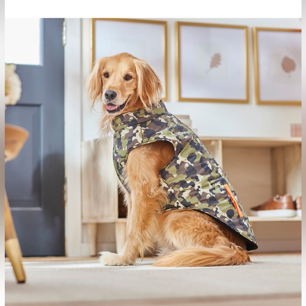 Dog coat